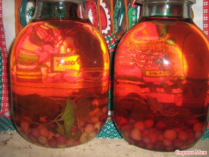 ТАРХУН из крыжовника - Страна Мам