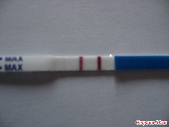 Тест на беременность фото две полоски в руке реальный