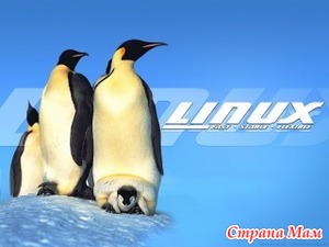        Linux