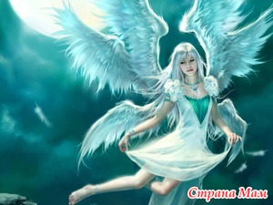 Спасибо за полет Fly Lady