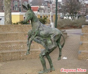 ���� �� �������. ������