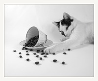 Кофейная колыбельная