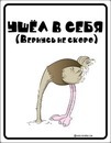 Валерьянка не помогает... наверное надо тупо "забить"