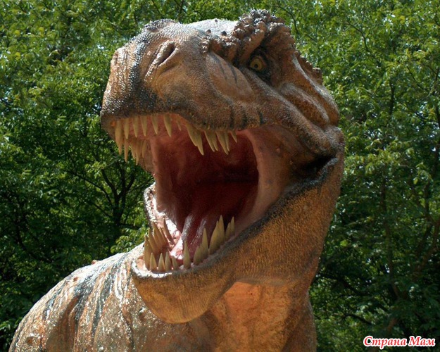 Фильмы про динозавров - PRO Кино - Страна Мам