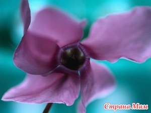 Хорошо что все обошлось. Смотреть фото Хорошо что все обошлось. Смотреть картинку Хорошо что все обошлось. Картинка про Хорошо что все обошлось. Фото Хорошо что все обошлось