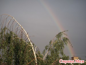 Страх одолел на прочь