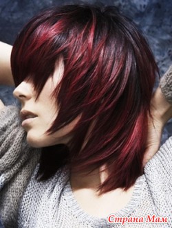 Бесплатная стрижка+укладка