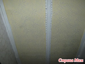 ������������� ������ �����