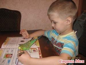 Хочу учиться!