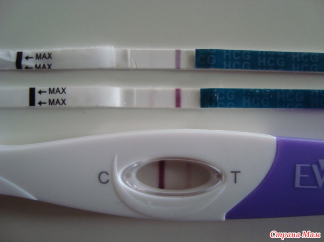 Призрак тест на беременность фото