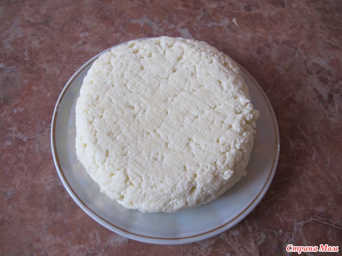 Как сделать адыгейский сыр в домашних условиях из молока и уксуса пошаговый рецепт с фото