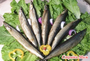 Вы уже запаслись рыбкой?