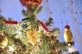 птички на верхней части елки