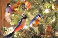 птички на верхней части елки
