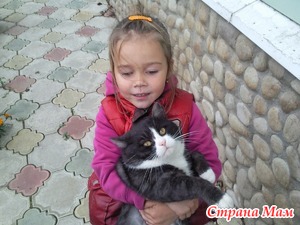 Детские высказывания
