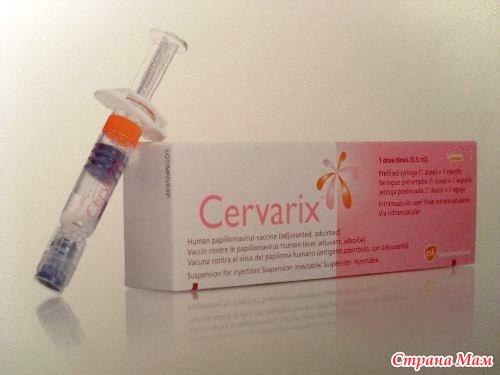 Церварикс вакцина. Гардасил и церварикс. Гардасил вакцина. Впч вакцина церварикс. Гардасил вакцина.
