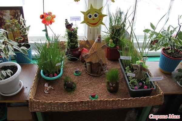 Поделка в детский сад чудо огород (55 фото)