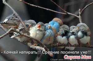   &quot;&quot;