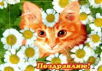 Моим подругам в СМ и всем остальным пользовательницам)))