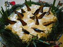 Рыбки в пруду