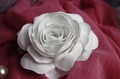 Роза белая моя