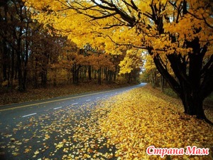 � � ��� � ��� ������������� �����?