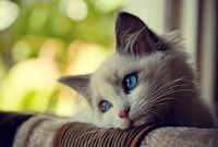 Мы в ответе за тех
