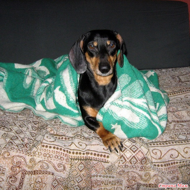 Давай не думать о судьбе, Но лишь имей в виду: Когда-нибудь и я к тебе ...