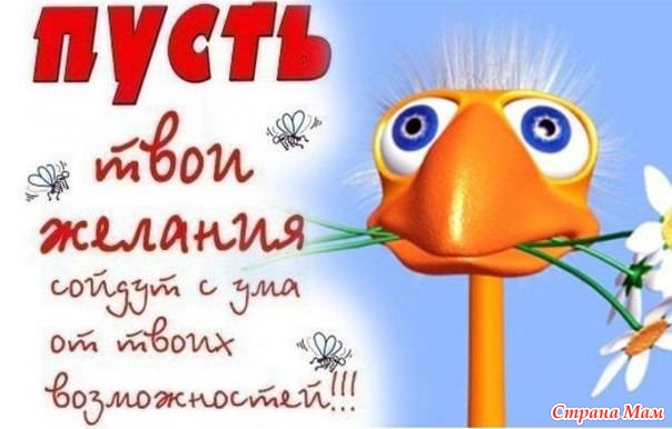 Поздравление для рыжих с Днем рождения)))