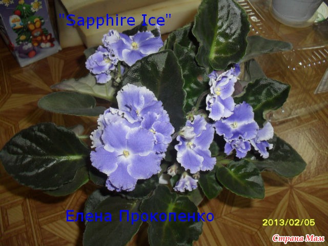 &quot;Sapphire Ice&quot;