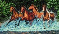 Dimensions 35214 Galloping Horses ( )