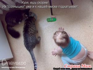 Ребенок ест из кошачьей чашки