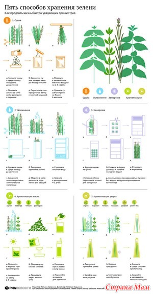 Пять способов сохранить зелень