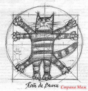 История про кота.