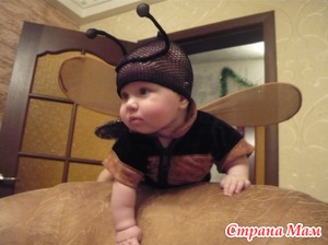 Пчелка, пчелочка, пчела... Это ЛИЗОЧКА моя...