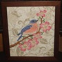 Bluebird in Blossoms