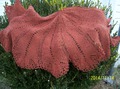 Shawl &quot;Smaug&quot; by MMario Leo a Pola