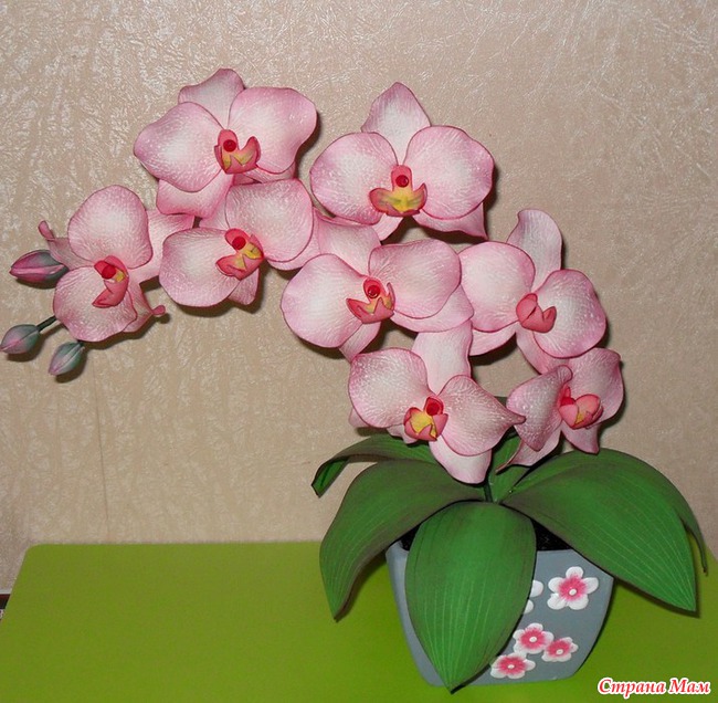 Орхидея из фоамирана: мастер-класс (видео)