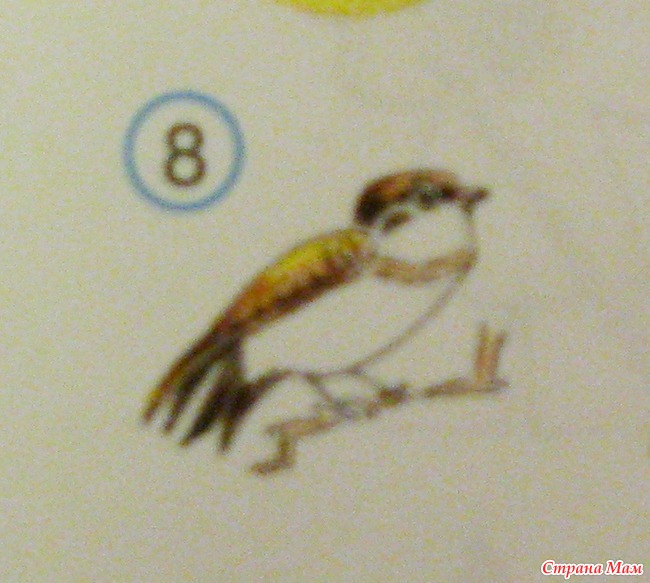 Птицы 5 класс 8. Птица 8 букв пятая о. Птица 8 букв пятая буква о. Название птицы пятая буква о. Названия 8 птиц.