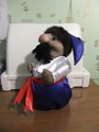 ����� �����