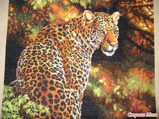 ������ ��������