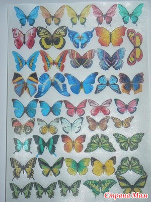 �������, ��� ������������ ����� ���������?