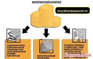 Материнский капитал. Воспользовались ли Вы?