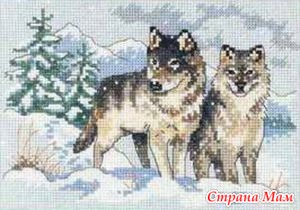 *A Pair of Wolves ( )