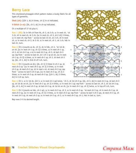 Chachula Robyn - Crochet Stitches VISUAL Encyclopedia - 2011