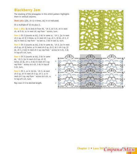 Chachula Robyn - Crochet Stitches VISUAL Encyclopedia - 2011