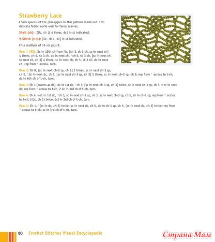 Chachula Robyn - Crochet Stitches VISUAL Encyclopedia - 2011