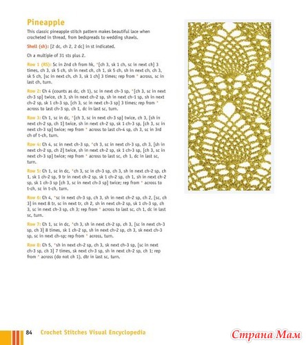 Chachula Robyn - Crochet Stitches VISUAL Encyclopedia - 2011