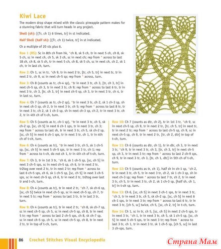 Chachula Robyn - Crochet Stitches VISUAL Encyclopedia - 2011
