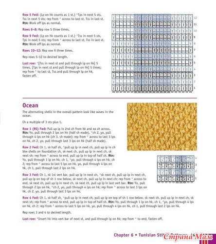 Chachula Robyn - Crochet Stitches VISUAL Encyclopedia - 2011